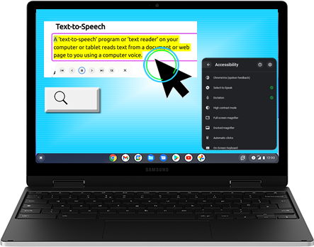 Example of Chromebook with Accessibility settings