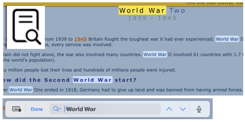 Word and phrase search 
