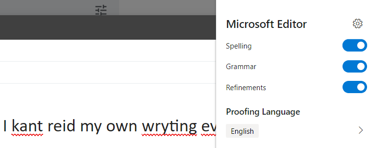 Editor spell checking 