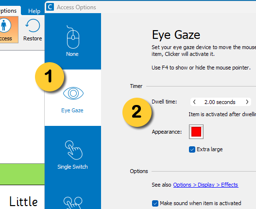 Eye Gaze in Access 