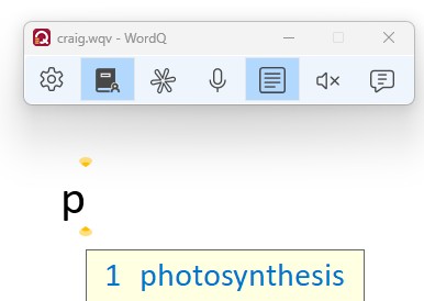 WordQ example 
