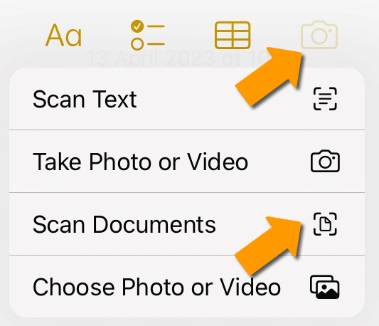 Choose scan text 
