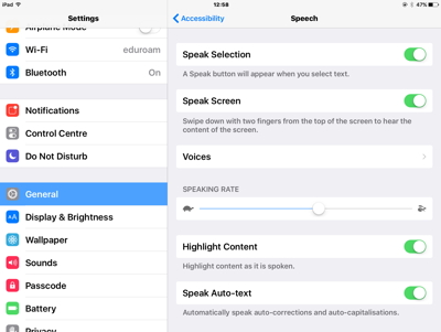 iPad Settings Display for Speech