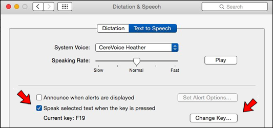 type to speech mac