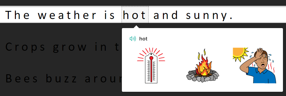 Picture Dictionary and Line Focus