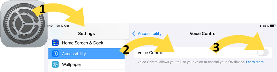 Setting how to turn on Voice Control 