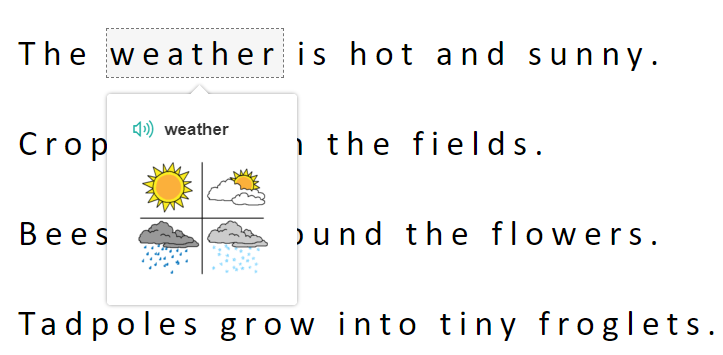Example of Picture Dictionary and weather symbol.