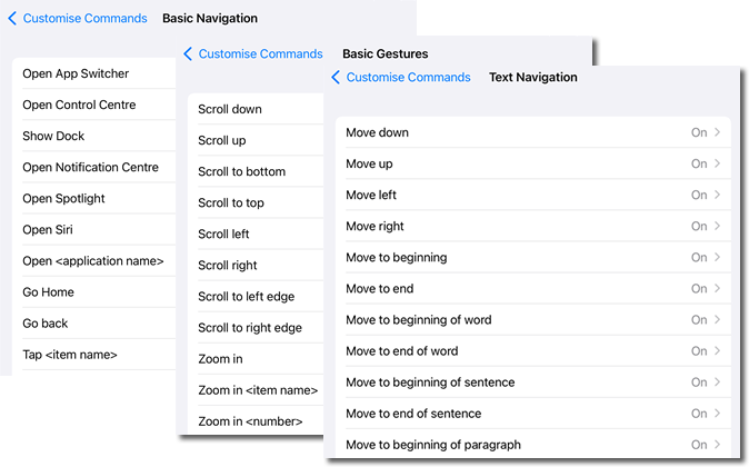 Voice control commands 