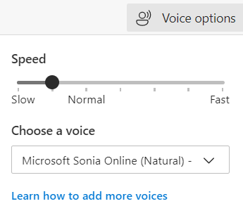 Voice options 